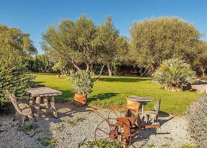 Diver * カン・ピカフォルト