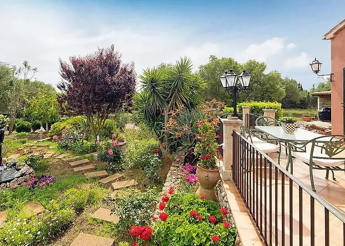 Diver * Can Picafort (Mallorca)