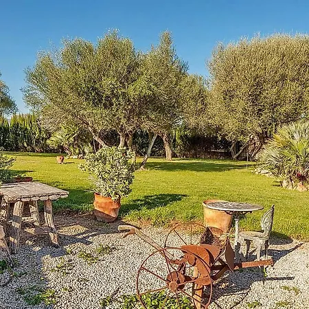 Diver * 캔 피카폴트