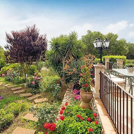 Diver * 캔 피카폴트